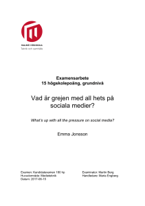 Vad är grejen med all hets på sociala medier?