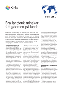 Bra lantbruk minskar fattigdomen på landet - Sida