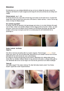 Page 1 Blåmärken ! ! Ett blåmärke kan vara väldigt effektfullt på lajv