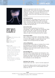 Studiehandledning Filmo - mall.pmd