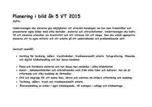 lpp bild åk 5 2014