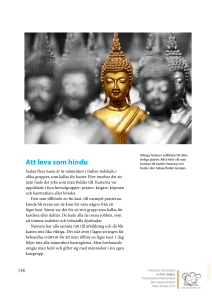 Att leva som hindu