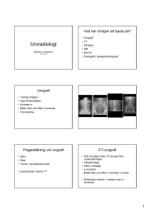 Uroradiologi