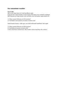 Hur samarbetar muskler