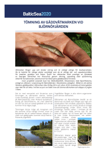 tömning av gäddvåtmarken vid björnöfjärden