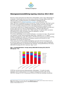 Säsongssammanställning typning rotavirus 2012-2013