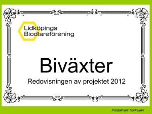 Biväxter