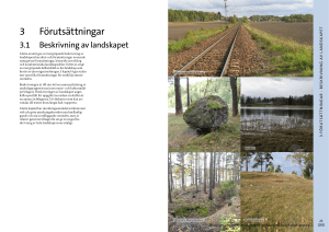 3 Förutsättningar
