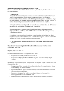 Minnesanteckningar styrgruppsmöte 2011-05-12