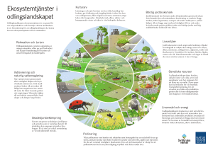 Ekosystemtjänster i odlingslandskapet