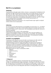 Mall för en projektplan