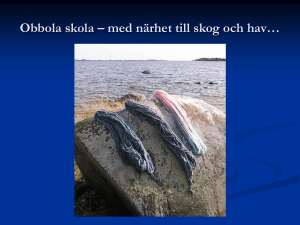Kopia av Bildspel växtfärgning