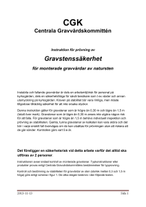 Handledning för praktiskt arbete med prövning av