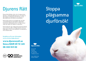 Stoppa plågsamma djurförsök! Djurens Rätt