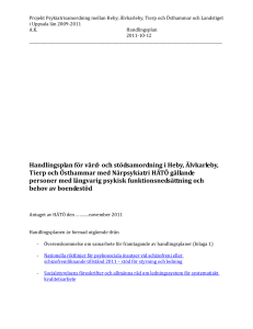 Samverkan kring den enskilde vid insatsen