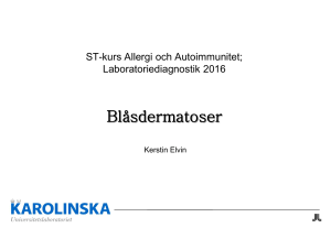 Validering och Verifiering: Vad är det och hur bör det utföras?