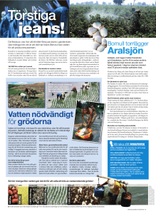 Aralsjön
