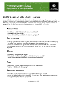 Stöd för dig som vill jobba effektivt i en grupp