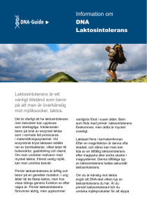 Information om DNA Laktosintolerans
