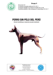 perro sin pelo del perú
