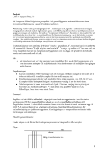 Projekt - Malmö högskola