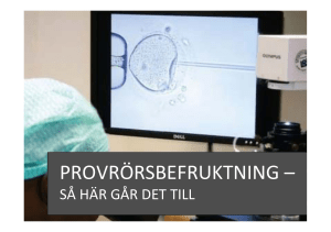 PROVRÖRSBEFRUKTNING –