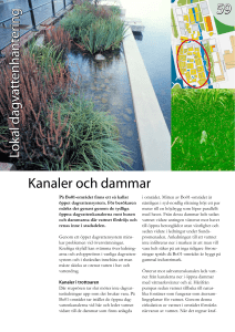 59 Kanaler och dammar Lokal dagvattenhantering