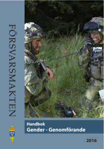 Handbok Gender - Genomförande