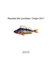 Orsjön