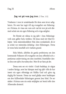 Dag 31 afton