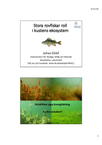 Johan presentation Kalmar HANDOUT