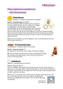 FRÄLSARKRANSVANDRINGEN