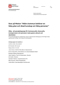 Handlingsplan för likabehandling och HBTQ-frågor