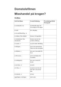 Domstolsfilmen Misshandel på krogen? Ordlista