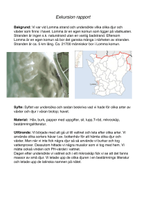 Lomma rapport