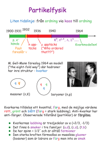 Partikelfysik