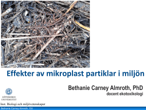 Bethanie Carney Almroth, PhD docent ekotoxikologi