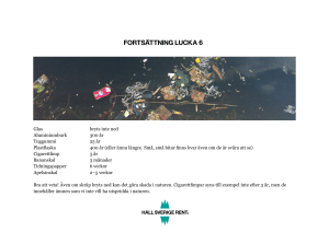 FORTSÄTTNING LUCKA 6