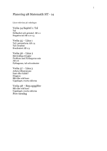 Planering för 9B kapitel 1