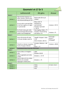 Planering Geometri vt17 åk 5 4