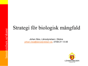 Strategi för biologisk mångfald