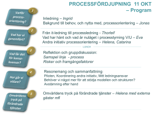 Samspel linje - process Risker och