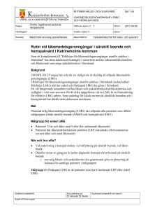 Mall för riktlinjer