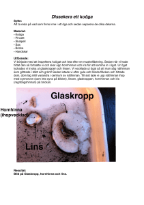 här - Nessim Gallouze