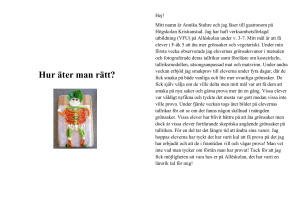 Broschyr - Hur äter man rätt?