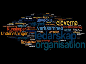 ledarskap och organisation - Mia Jönsson