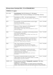 Detaljprogram Plastiken Karlstad 2014