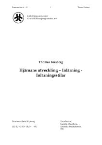 Hjärnans utveckling – Inlärning - Inlärningsstilar