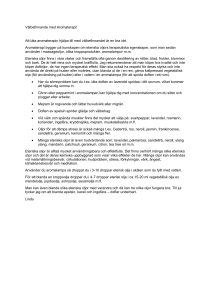 Aromaterapi