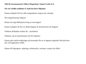 Mål för kursmomentet Ellära-Magnetism i ämnet